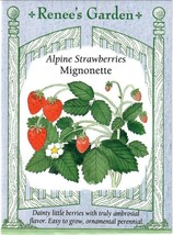 GIB Strawberry Alpine Migette Vegetable Seeds Renee&#39;s Garden  - $9.00