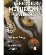 Tiger Milk Mushroom Lignosus rhinocerus Lung Respiratory Immune Support ... - £18.73 GBP