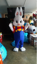 New Easter Bunny 2  Boy Mascot Costume Halloween Party Character Birthda... - $390.00