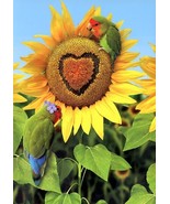 6 CARDS FOR $6.00 - NEW - You Are My Sunflower - Tree Free Greeting Card... - $54.73 MXN