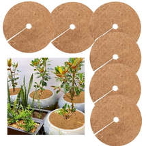 6 PCS/Set Plant Root Antifreeze Flowerpot Coconut Palm Flat Mat, Size: 30cm - £7.12 GBP