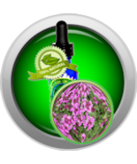 Red Thyme Essential Oil (Thymus Vulgaris) - €4,29 EUR+