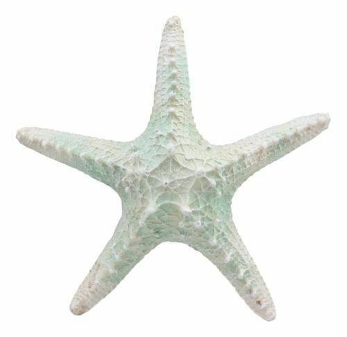 Large Ocean Coral Sea Star Shell Starfish Statue 8"L Nautical Coastal Decor
