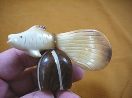 (TNE-FIS-BE-22A) Betta Siamese Fish Tagua Nut Figurine Carving Vegetable Ivory - £13.80 GBP