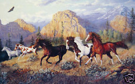 Free At Last by Terry Doughty Print  Horses  VCS - £34.83 GBP