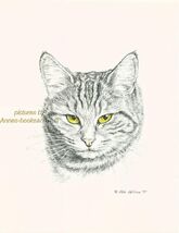 #160 TABBY CAT *  cat art print  *  pen &amp; ink drawing by Jan Jellins - $12.50