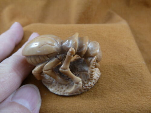 (tb-ins-3-5) tan Praying Mantis Tagua NUT figurine Bali detailed insect ... - $38.56