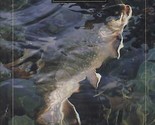 The Complete Guide To Catching Trout New Book on Flies Lures and Fly Fis... - $16.28