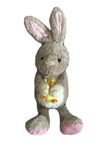 Animal Adventure Easter Bunny Rabbit Baby Chick Plush Soft Stuffed Animal Toy - $14.99