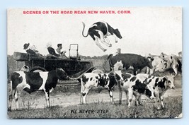 Automobile Comic We Never Stop For Cows New Haven CT UNP DB Postcard Q4 - £31.66 GBP