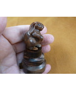 (tb-rab-4) little bunny foo foo Tagua NUT palm figurine Bali carving bab... - £33.45 GBP