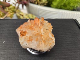 Tangerine Quartz Specimen Natural Crystals Cluster (TN9) - $22.76
