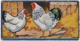 Cowan Co Toronto Card Columbian Wyandottes Chicken Series - £7.78 GBP