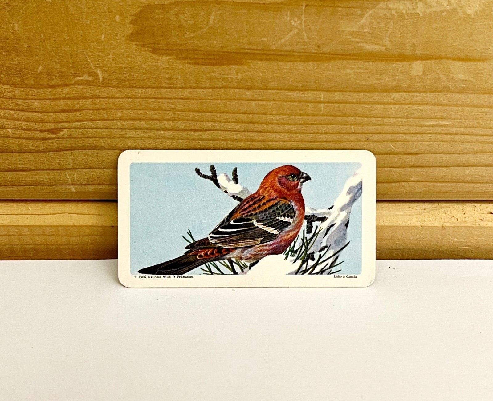 Vintage Songbird Trading Card Pine Grosbeak 1966 S9N39 Brooke Bond Tea Co Item image 2