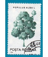 Used Romanian Postage Stamp (Scott 3915) 45L Populus Albal (1994)  - $35.89 MXN