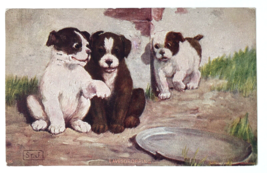 Dog puppy postcard St. John Eavesdropping Artist Signed Posted 1907 - £7.19 GBP