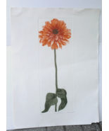 Elaine Simel &quot;Orange Zinnia&quot; Hand Signed Limited Edition 54/700 Color Et... - $68.84