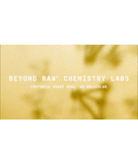 BEYOND RAW CHEMISTRY LABS -Hydrolyzed Whey Protein (Lab Grade) 50 servin... - $96.02 CAD