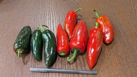 SEED- Hot Sauce Sriracha Pepper Seeds -Heirloom Spicy, Hot Pickles &amp; more - $4.36+