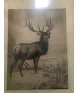 Buck in Field By Louis Maurer - $1,188.00