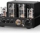 Ms-10D Mkiii Hifi Bluetooth Hybrid Tube Power Amplifier Stereo Subwoofer... - $370.99