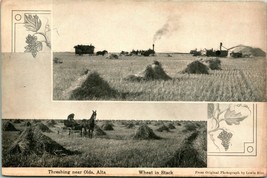 Vtg Postcard - Olds Alberta Canada Lewis Rice Photo Threshing Farm Steam Tractor - £30.33 GBP