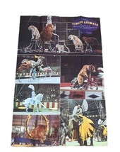 Circus Animals Scholastic Book Club Poster Vintage - £27.31 GBP