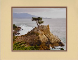 Lone Cypress by Barbara Snyder Monterey Seascape  Double Matted 11x14 - £27.68 GBP