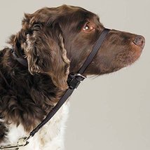 Gentle Leader Dog Training Headcollars Safely Teach Your Pup to Walk Str... - £29.62 GBP