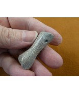 (DP3-520) 1-1/2&quot; polished REAL DINOSAUR bone pendant necklace Utah Dino ... - €15,13 EUR