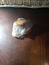 Packaged Dog Bone - $5.89