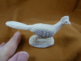 (Road-W2) white gray Roadrunner shed ANTLER figurine Bali detailed carvi... - $107.29