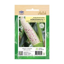 Waxy Corn Neaw Maung Wan 1 Seeds Home Garden Asian Fresh Vegetable Thai Seeds - £6.33 GBP
