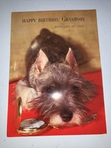 VINTAGE 1950’s Ambassador Cards Happy Birthday Grandson Card Puppy Dog - $4.94