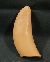 #3  Whale Tooth (Imitation Replica)  for Display, Scrimshaw, Engraving - $11.83