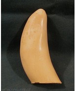 #3  Whale Tooth (Imitation Replica)  for Display, Scrimshaw, Engraving - $11.83