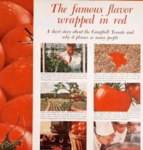 1962 Campbell&#39;s Classic Tomato Soup Advertisement Famous Flavor In Red HM2O - $29.99