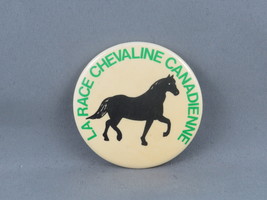 Vintage Animal Pin - The Canadian Horse Breed - Celluloid Pin  - £11.76 GBP