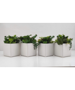 Lot of 4 Mini Artificial Succulent Fake Plants Ceramic White Planter Pot... - $33.88 CAD