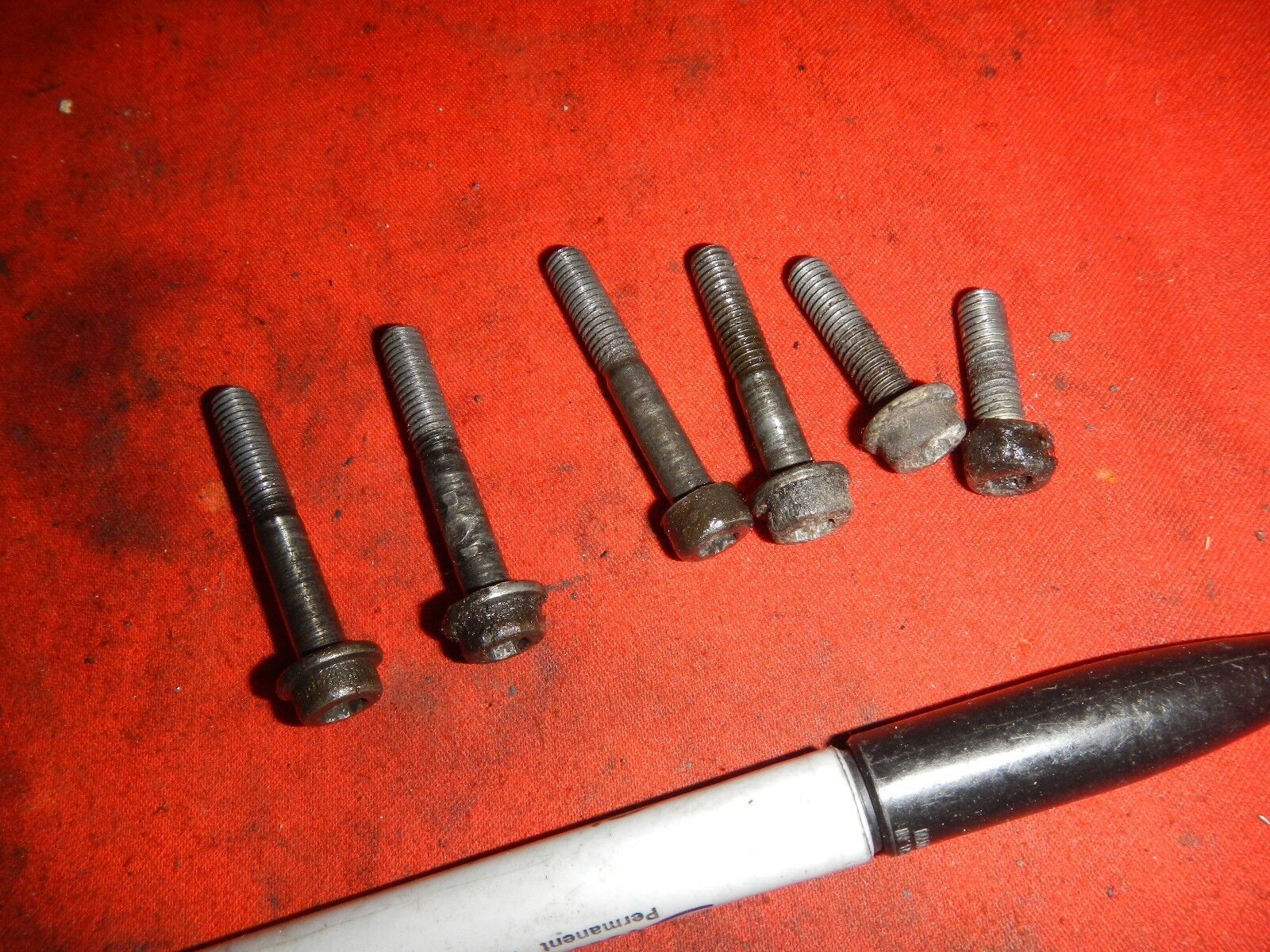 MAGNETO STATOR COVER BOLTS 1983 HONDA XR500R XR500 XR 500R 500 R - $6.02