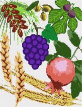 Pepita needlepoint canvas: Seven Species, 10&quot; x 13&quot; - $100.00+