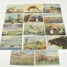 Colorado Museum Natural History Postcards Lot of 15 Unposted Linen - $14.69
