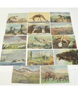 Colorado Museum Natural History Postcards Lot of 15 Unposted Linen - €12,69 EUR