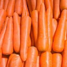 400 Brilliance Carrot Seeds NON-GMO Heirloom Fresh Vegetable Seeds  - £5.62 GBP