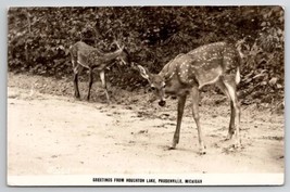 RPPC Prudenville MI Beautiful Deer Greetings From Houghton Lake Postcard U25 - £7.04 GBP