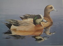 Wigeon by William C. Morris 1984-85 Federal Waterfowl Stamp Print Artist Signed  - £94.00 GBP