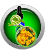 Calendula Absolute (Calendula Officinalis, Ma... - $6.00+