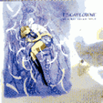 The Vision of Escaflowne The Movie Original Sound Track - $8.99