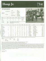 1945 - HOOP, JR. - Kentucky Derby Race Chart, Pedigree &amp; Career Highlights  - £15.80 GBP