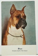 Boxer Dog Champion Apollo of San Joaquin Art Postcard I19 - $6.95